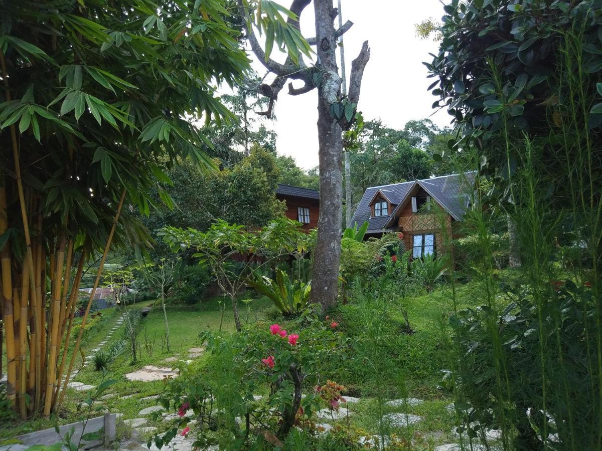Canyon Jungle Stay Bukittinggi Kültér fotó