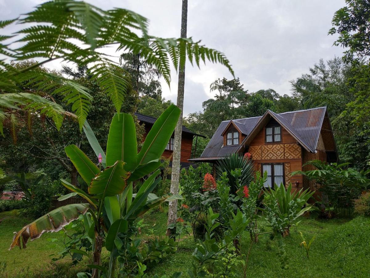 Canyon Jungle Stay Bukittinggi Kültér fotó