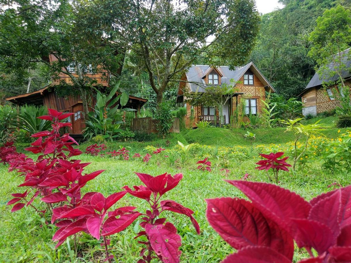 Canyon Jungle Stay Bukittinggi Kültér fotó
