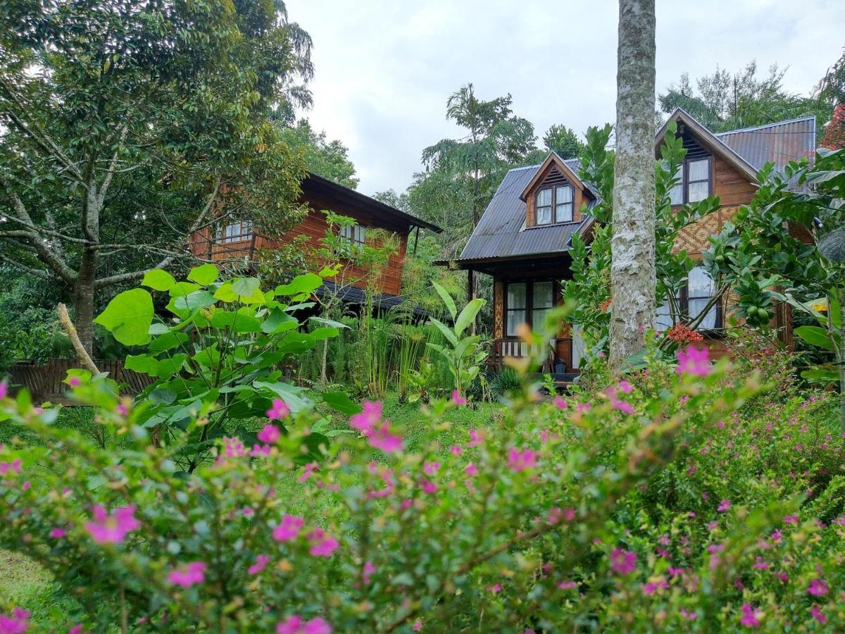 Canyon Jungle Stay Bukittinggi Kültér fotó
