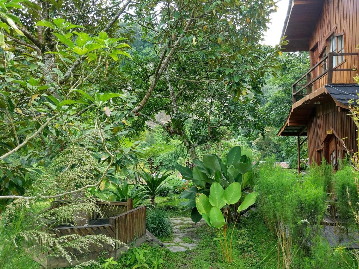 Canyon Jungle Stay Bukittinggi Kültér fotó