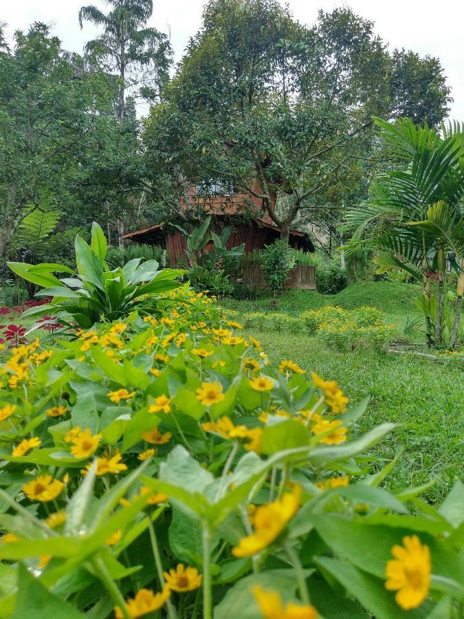 Canyon Jungle Stay Bukittinggi Kültér fotó