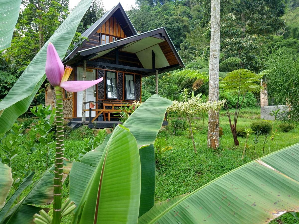 Canyon Jungle Stay Bukittinggi Kültér fotó