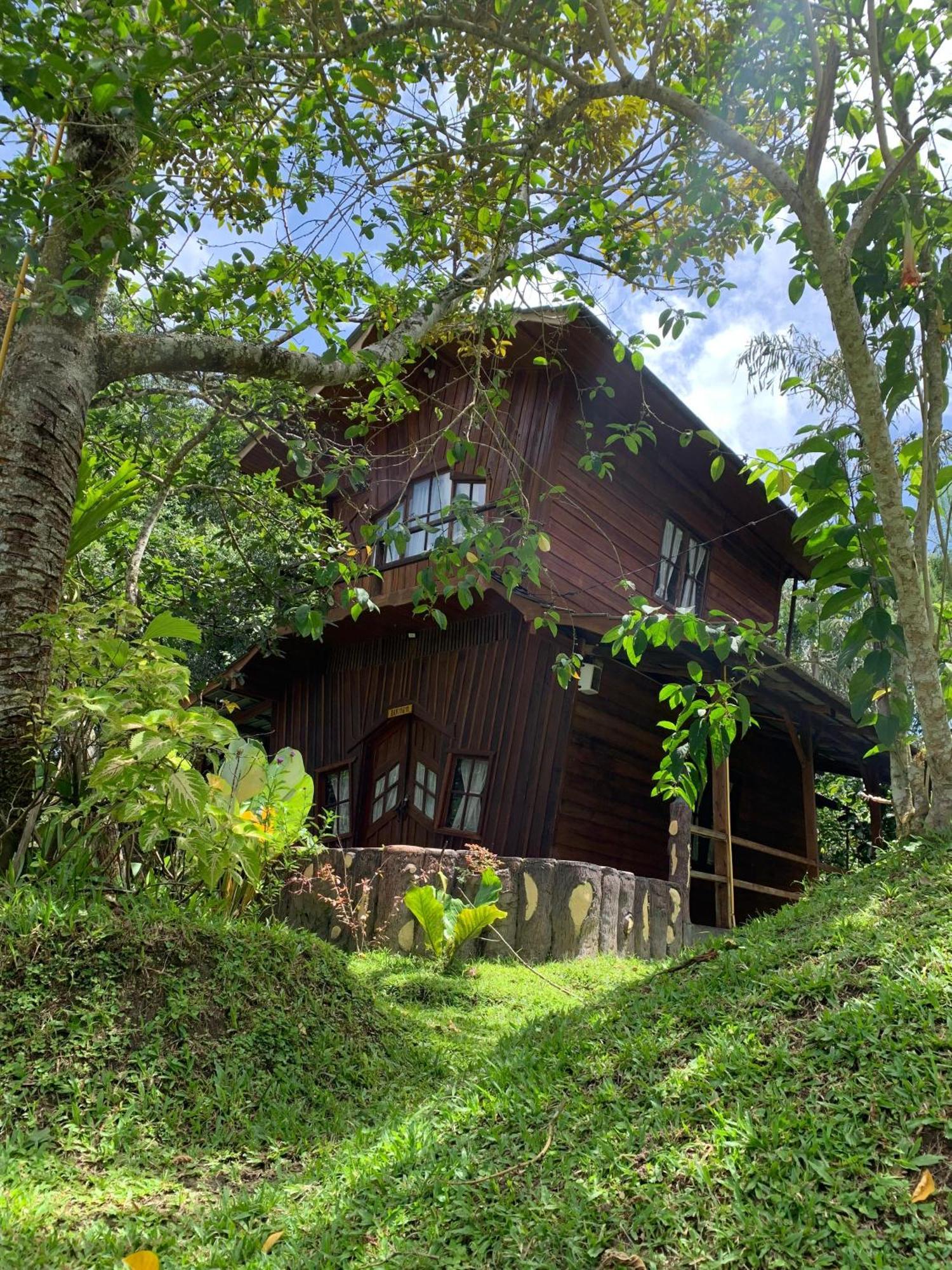 Canyon Jungle Stay Bukittinggi Kültér fotó